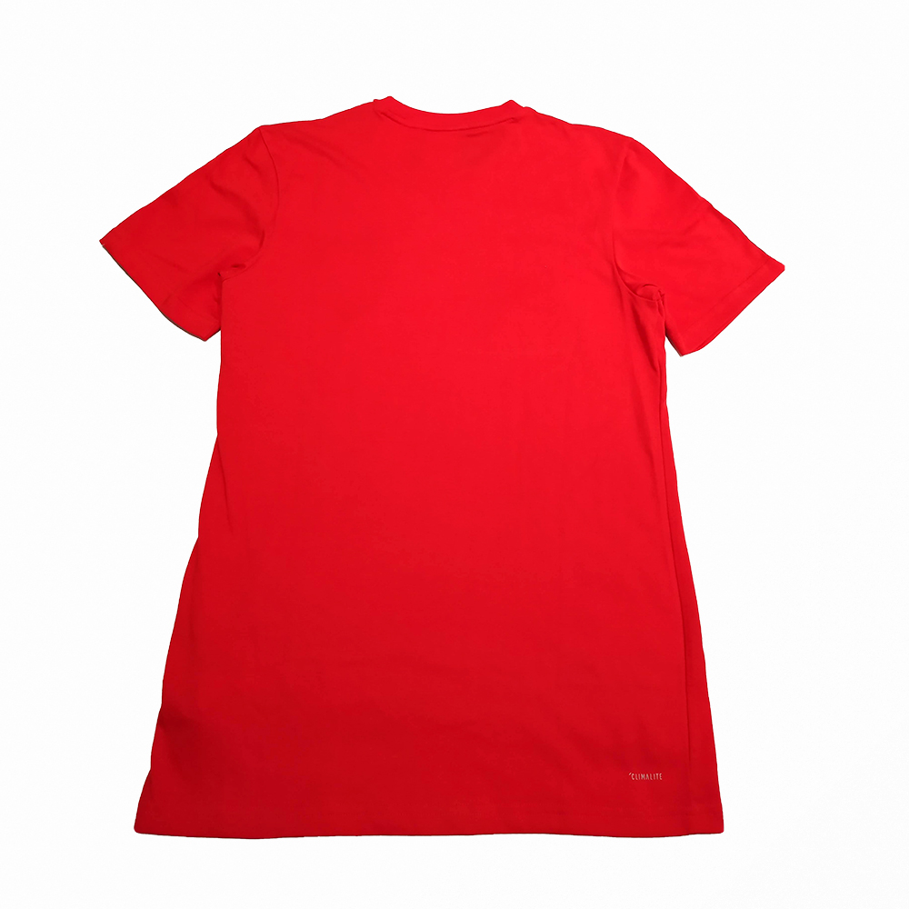 camiseta concentracion river plate